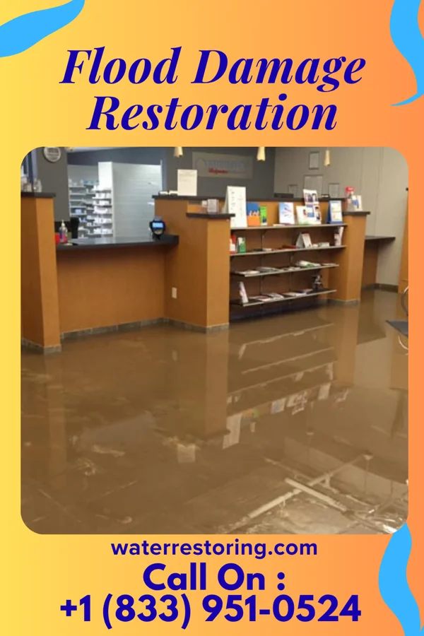 Flood Damage Restoration in Holloway, MN