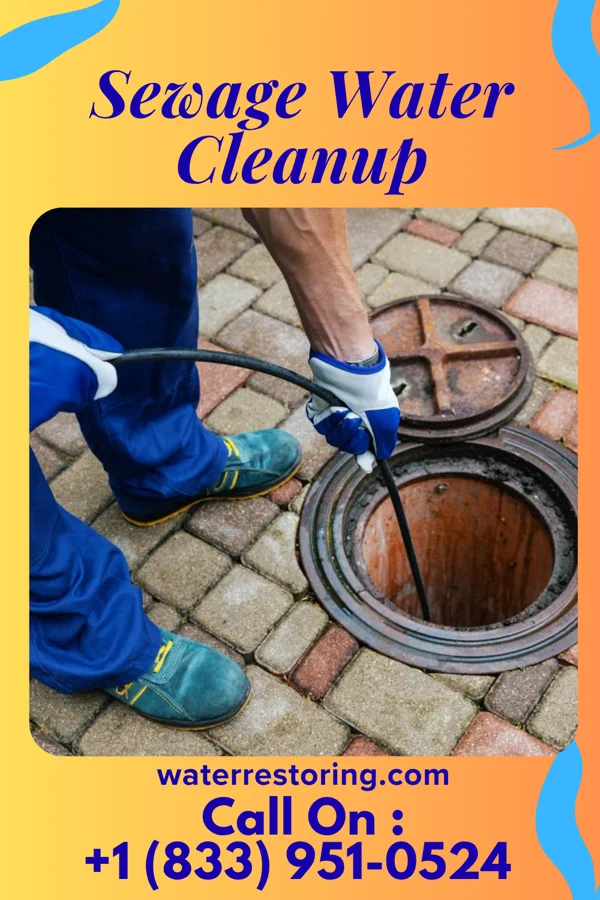 Sewage Water Cleanup in Holloway, MN
